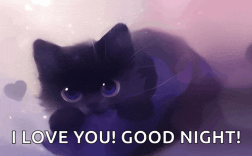 a picture of a black cat with the words i love you good night