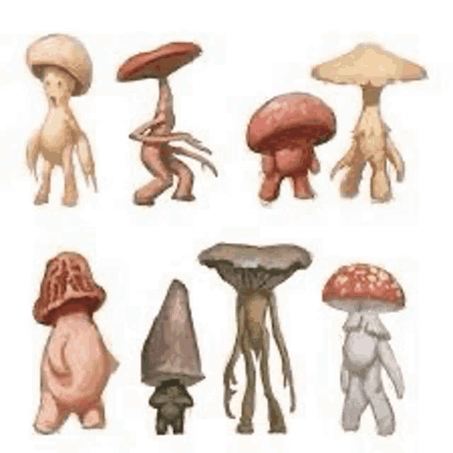 a bunch of different types of mushrooms with arms and legs .