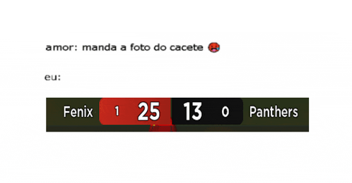 a screenshot of a soccer game between fenix and the panthers