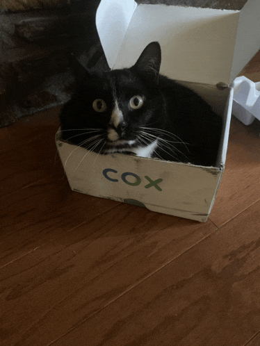 a black and white cat is laying in a cardboard box that says cox