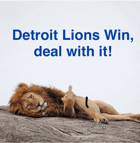 a lion laying on a rock with the words " detroit lions win deal with it "