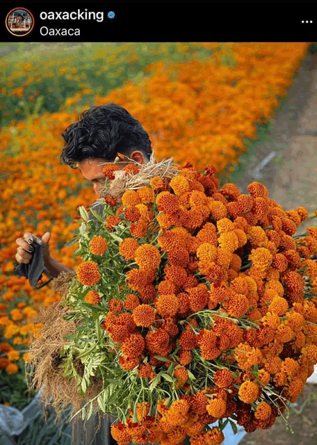 a man is carrying a large bouquet of orange flowers on his back ..