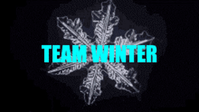 a snowflake with the words team winter written in blue