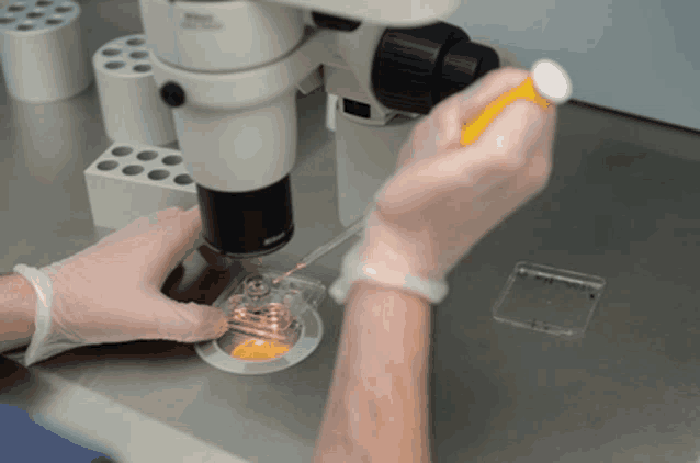 a person is looking through a microscope and holding a pipette