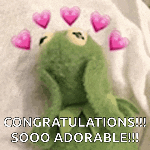 kermit the frog is surrounded by pink hearts and the words congratulations sooo adorable