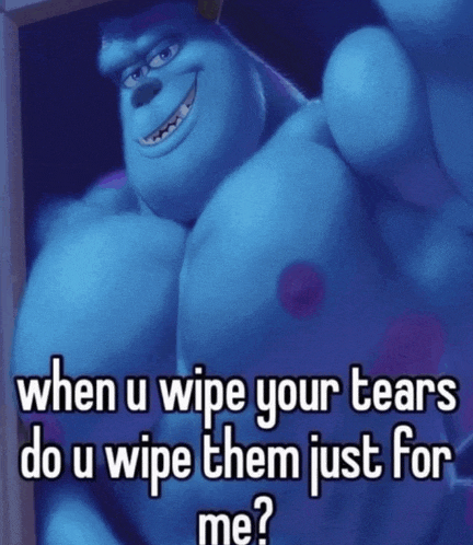 a picture of sulley from monsters inc asking when u wipe your tears do u wipe them