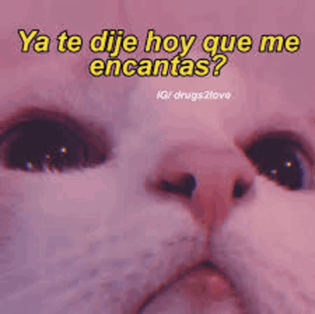 a close up of a cat 's face with a quote in spanish .