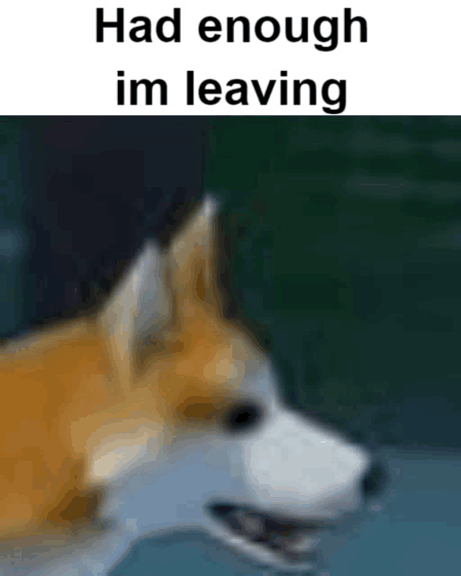 a picture of a dog with the words `` had enough im leaving '' above it