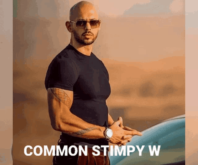 a bald man wearing sunglasses and a black shirt is standing next to a car with the words " common stimply w " on the bottom