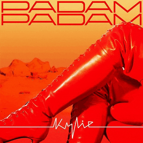 the cover of the album madam babam by kylie jenner