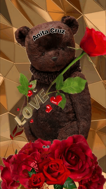 a brown teddy bear holding a red rose with the name anita cruz written on it