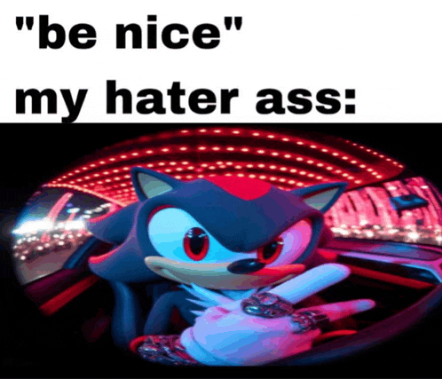 a picture of shadow the hedgehog with the words " be nice my hater ass " below him