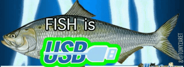 a fish with the words fish is iicd uod b on it