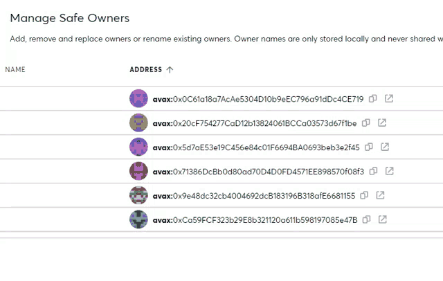 a screenshot of the manage safe owners screen
