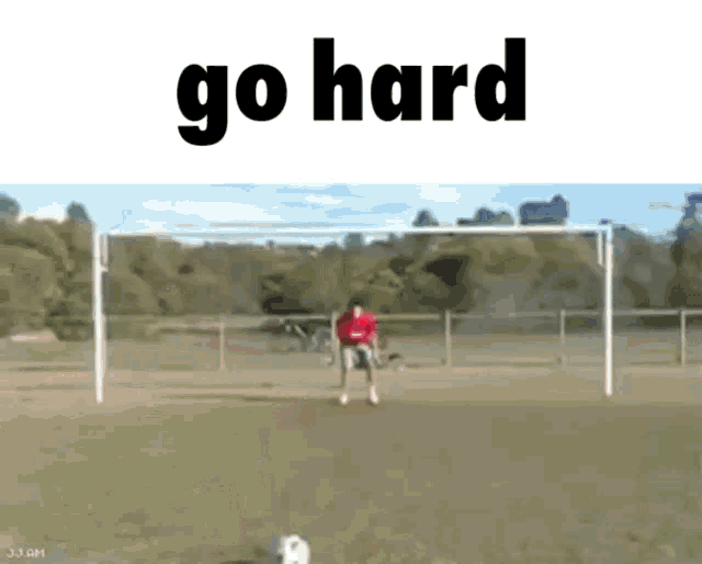 a man in a red shirt is jumping to catch a soccer ball in front of a soccer goal .