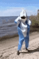 a person dressed in a shark costume is standing on a beach .