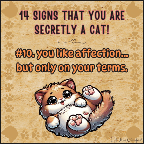 a poster with a cat and the words 14 signs that you are secretly a cat