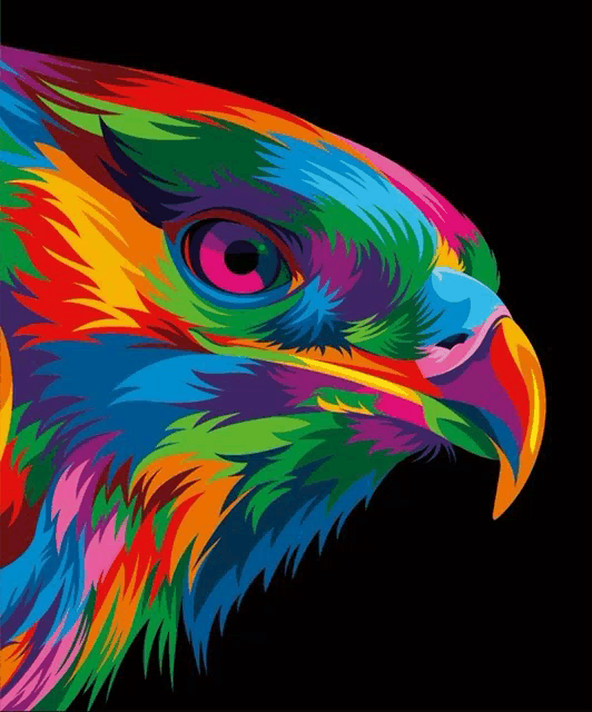 a painting of a colorful bird with a black background