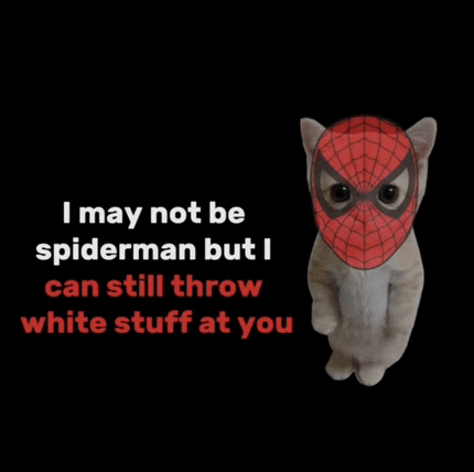 a cat wearing a spider man mask says " i may not be spider man but i can still throw white stuff at you "