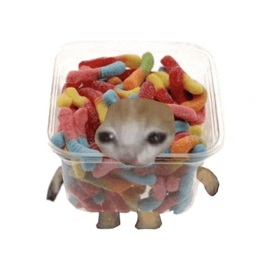 a cat is sitting in a plastic container filled with gummy worms ..