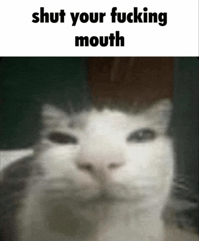 a picture of a cat with the words shut your fucking mouth below it