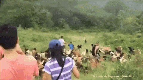 a group of people are walking through a grassy field with the words territorio de zaguates costa rica written on the bottom