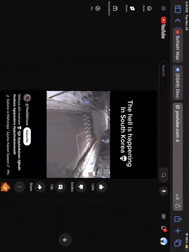 a screen shot of a youtube page that says the hell is happening in south korea on it