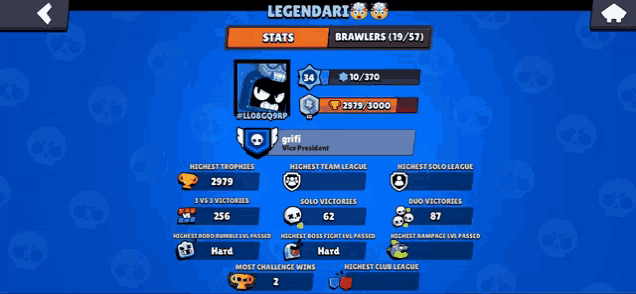 a screenshot of a game called legendary showing stats