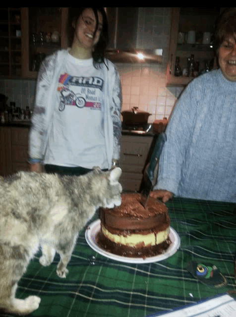 a woman wearing a shirt that says find is standing next to a cat