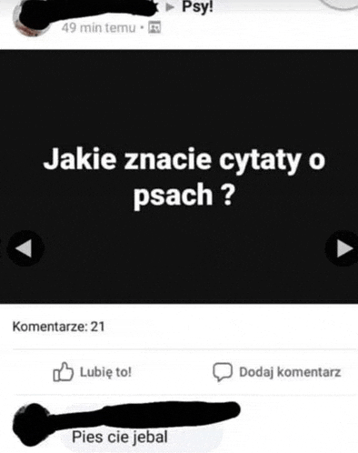 a screenshot of a facebook post that says jakie znaczenie cytaty o ptach ?