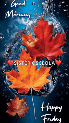 a picture of autumn leaves with the words " good morning sister osceola "