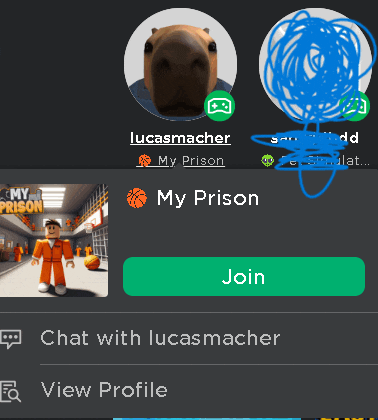 a screenshot of lucasmacher 's profile with a green join button