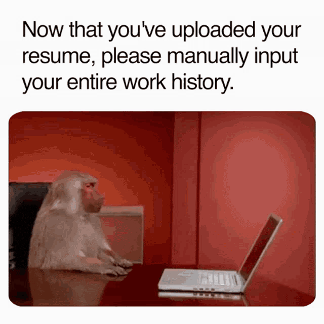 a monkey sits at a desk in front of a laptop computer with the words now that you 've uploaded your resume