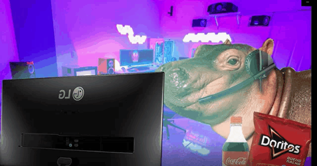 a hippo wearing a headset next to an lg monitor