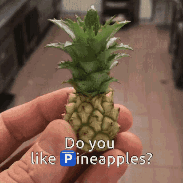 a person is holding a pineapple with the words do you like pineapples