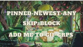 a poster that says pinned-newest-any skip block add me to gif grps