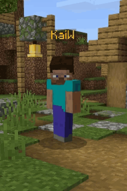 a minecraft character named kail is standing in a grassy area