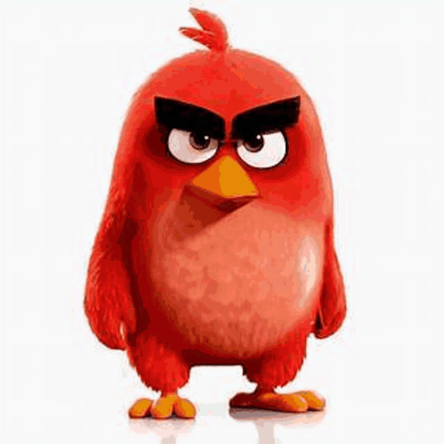 a red bird from the angry birds movie is standing on a white surface .