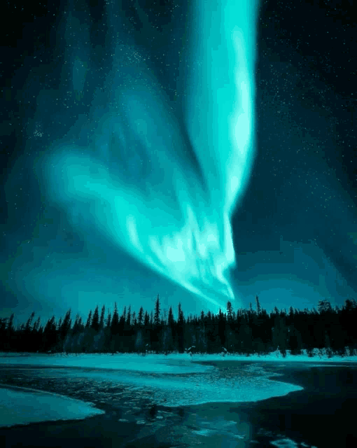 the aurora borealis shines over a frozen lake