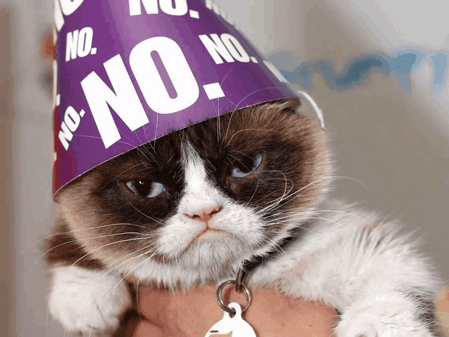 a grumpy cat wearing a purple party hat that says " no "