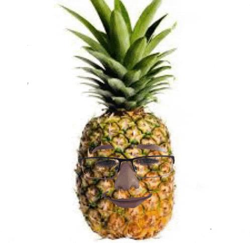 a pineapple with glasses on it looks like a man 's face .