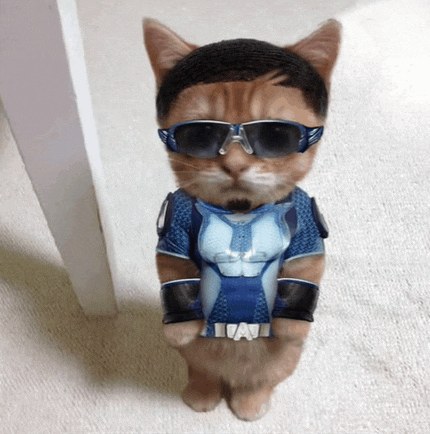 a cat wearing sunglasses and a blue superhero costume