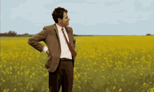 a man in a suit is standing in a field of yellow flowers