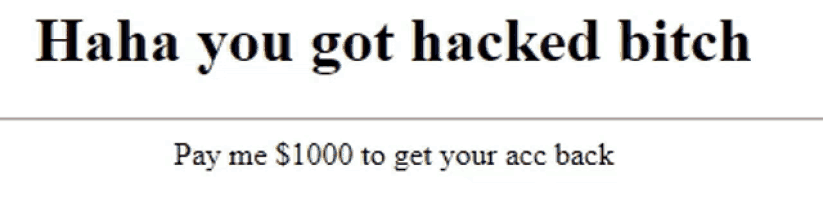 a white page that says " haha you got hacked bitch "