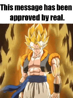 gogeta from dragon ball z is standing in front of a fire background and this message has been approved by real .