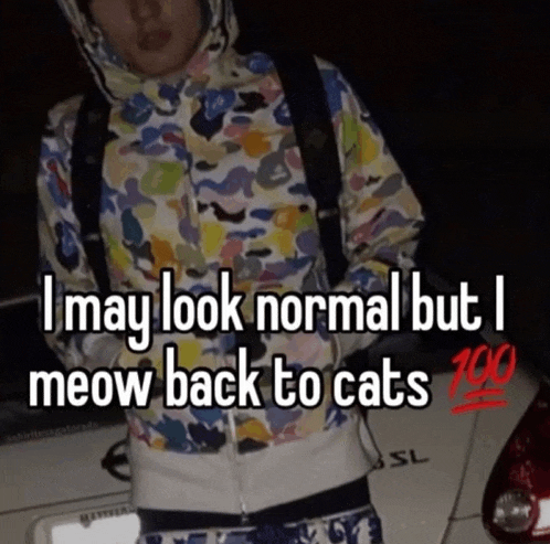 a man wearing a colorful hoodie says " i may look normal but i meow back to cats "