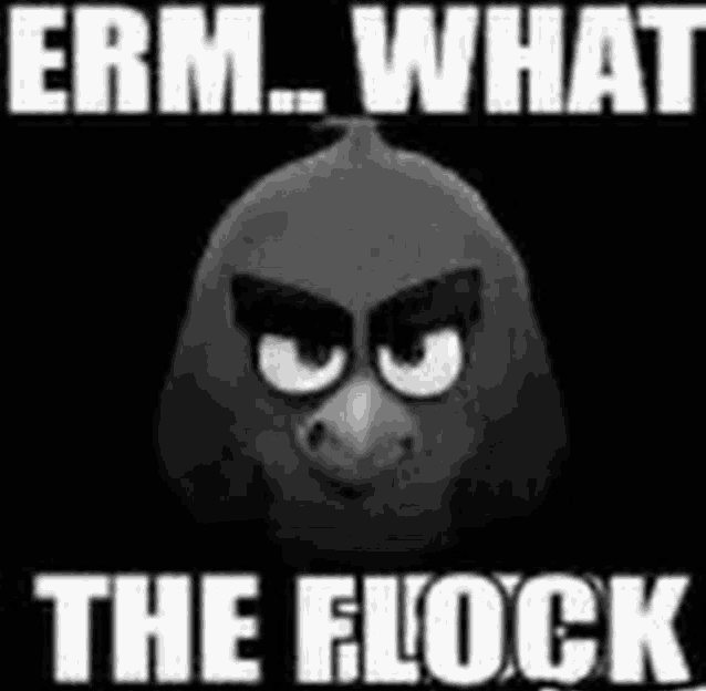 a black and white image of an angry bird with the words " erm what the flock " below it