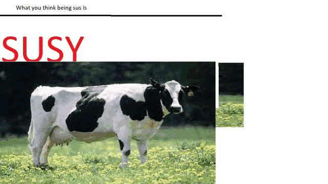 a black and white cow is standing in a field of flowers