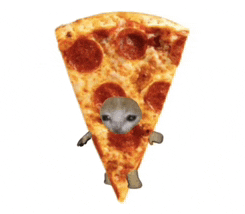 a slice of pepperoni pizza has a cat on it