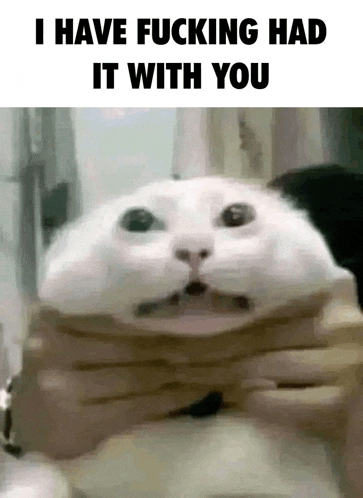 a white cat with a surprised look on its face and the words i have fucking had it with you .